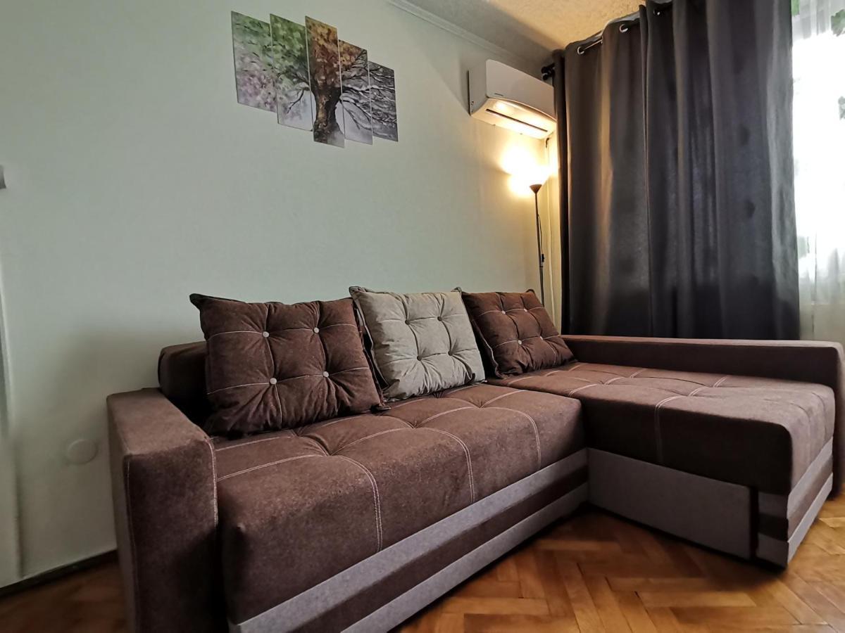 Apartmán Apartament Giulia Făgăraş Exteriér fotografie
