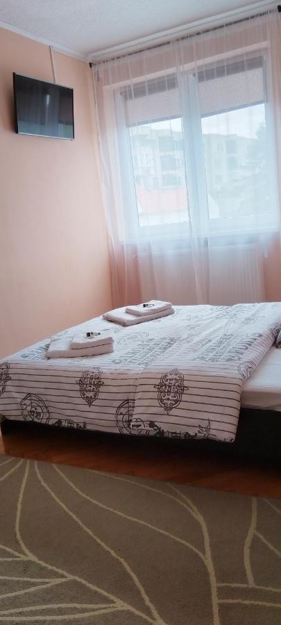 Apartmán Apartament Giulia Făgăraş Exteriér fotografie